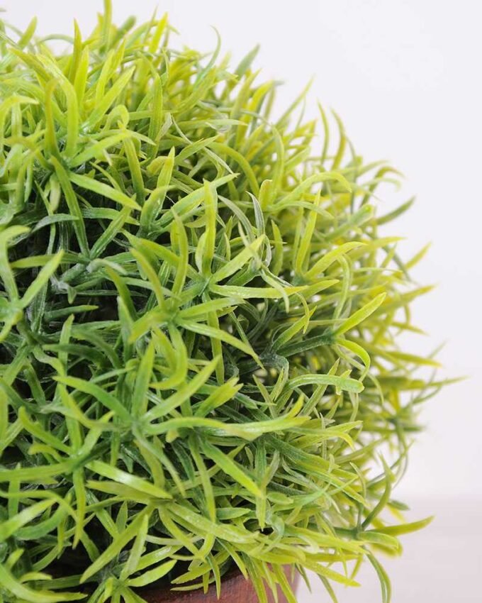 14*14*14CM POTTED GRASS GS-3890061