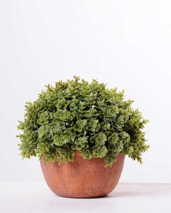14*14*14CM POTTED GRASS GS-3890062
