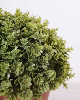 14*14*14CM POTTED GRASS GS-3890062