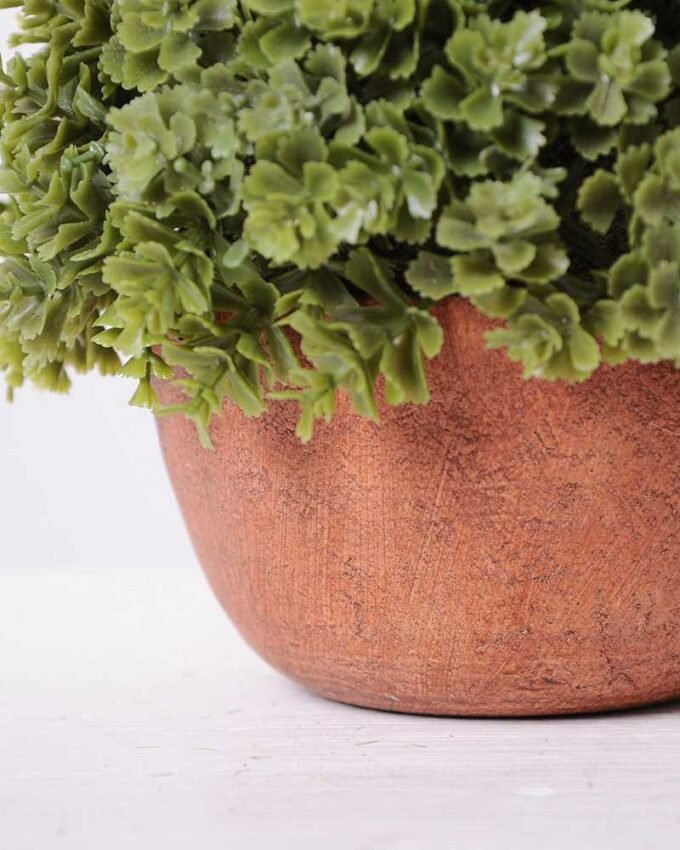 14*14*14CM POTTED GRASS GS-3890062