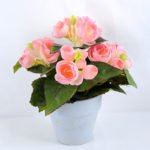 Artificial Flower 22*22*23cm Begonia in Paper pot GS-03319015-P1
