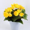 Artificial Flower 22*22*23cm Begonia in Paper pot GS-03319015-Y1
