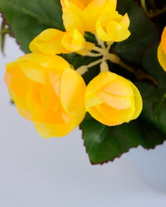 Artificial Flower 22*22*23cm Begonia in Paper pot GS-03319015-Y1 Potted Flowers&Plants YeahFlower is one of Chinese leading OEM manufacturers and exporters , supplying the silk flowers, wholesale artificial trees Artificial Flower 22*22*23cm Begonia in Paper pot GS-03319015-Y1