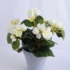 Artificial Flower 26*26*28cm Begonia in Paper pot GS-03319016-W1