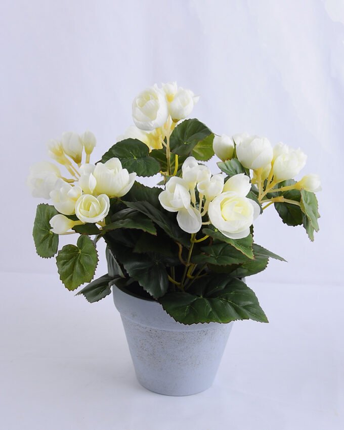 Artificial Flower 26*26*28cm Begonia in Paper pot GS-03319016-W1
