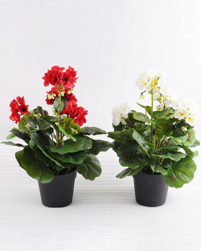 Artificial Flower 25*25*31cm Begonia in plastic pot GS-03318103-R1 2 Artificial Flower 25*25*31cm Begonia in plastic pot GS-03318103-R1