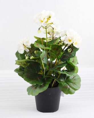 Artificial Flower 25*25*31cm Begonia in plastic pot GS-03318103-W1