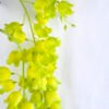 Artificial Flower 22*13*100cm Bellflower spray*3 GS-37219003-G1
