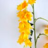 Artificial Flower 22*13*100cm Bellflower spray*3 GS-37219003-Y1