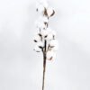 Artificial Flower 10*7*51cm Cotton branch*8 GS-33518002-W1