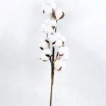 Artificial Flower 10*7*51cm Cotton branch*8 GS-33518002-W1