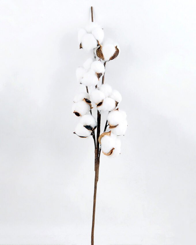 Artificial Flower 10*7*51cm Cotton branch*8 GS-33518002-W1
