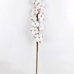 Artificial Flower 12*7*75cm Cotton branch*9 GS-33518003-W1