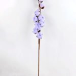 Artificial Flower 12*7*75cm Cotton branch*9 GS-33518003-Z1