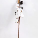 Artificial Flower 11*9*51cm Cotton branch*5 GS-33518004