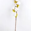 Artificial Flower 9*9*63cm Cotton branch*6 GS-33518006-W1
