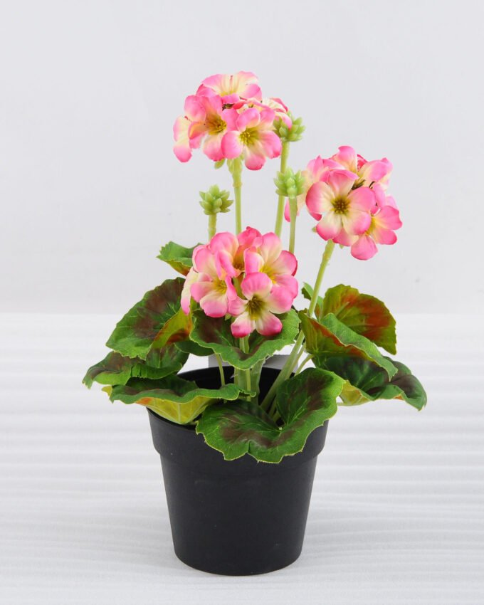 Artificial Flower 18*18*25cm Geranium in plastic pot GS-03318104-P1