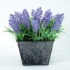 Artificial Flower H:18CM Lavender in Metal pot GS-6660560