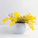 Artificial Flower 20*20*12cm Mimosa in ceramic pot GS-03318059