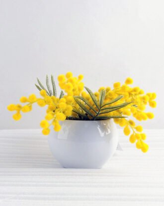 Artificial Flower 20*20*12cm Mimosa in ceramic pot GS-03318059