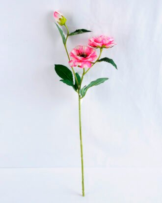 Artificial Flower 19*12*56cm Open ranunculus*3 GS-12819001-P1 Single Flowers YeahFlower is one of Chinese leading OEM manufacturers and exporters , supplying the silk flowers, wholesale artificial trees Artificial Flower 19*12*56cm Open ranunculus*3 GS-12819001-P1