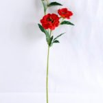 Artificial Flower 19*12*56cm Open ranunculus*3 GS-12819001-R1