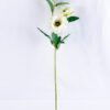 Artificial Flower 19*12*56cm Open ranunculus*3 GS-12819001-W1