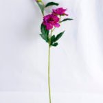 Artificial Flower 19*12*56cm Open ranunculus*3 GS-12819001-Z1