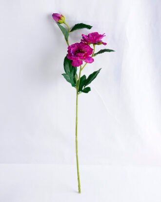 Artificial Flower 19*12*56cm Open ranunculus*3 GS-12819001-Z1