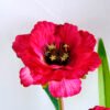 Artificial Flower 29*28*45cm Open ranunculus*3 GS-12819002-R2