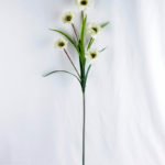 Artificial Flower 32*23*100cm Open ranunculus*5 GS-12819003-W1