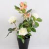 Artificial Flower 26*22*27cm Rose in plastic pot GS-03318225
