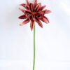 Artificial Flower 15*15*30CM Single Dahlia GS-42819002-K1