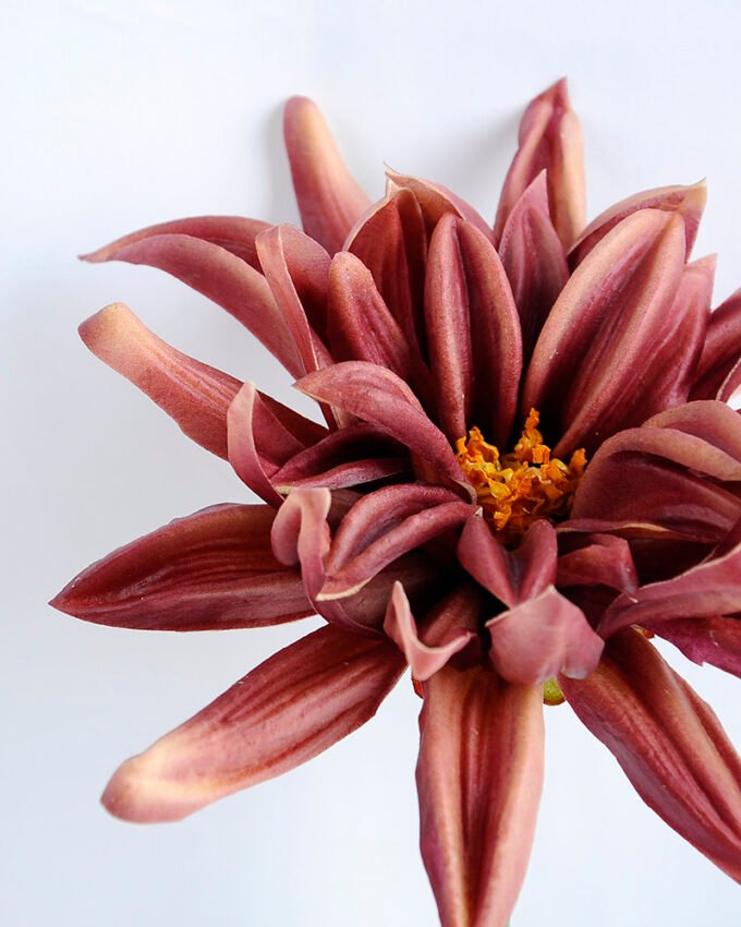 Artificial Flower 15*15*30CM Single Dahlia GS-42819002-K1