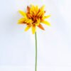 Artificial Flower 15*15*30CM Single Dahlia GS-42819002-Y1