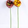 Artificial Flower 8*8*30CM Single Peony GS-42819001-K1