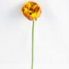 Artificial Flower 8*8*30CM Single Peony GS-42819001-Y1