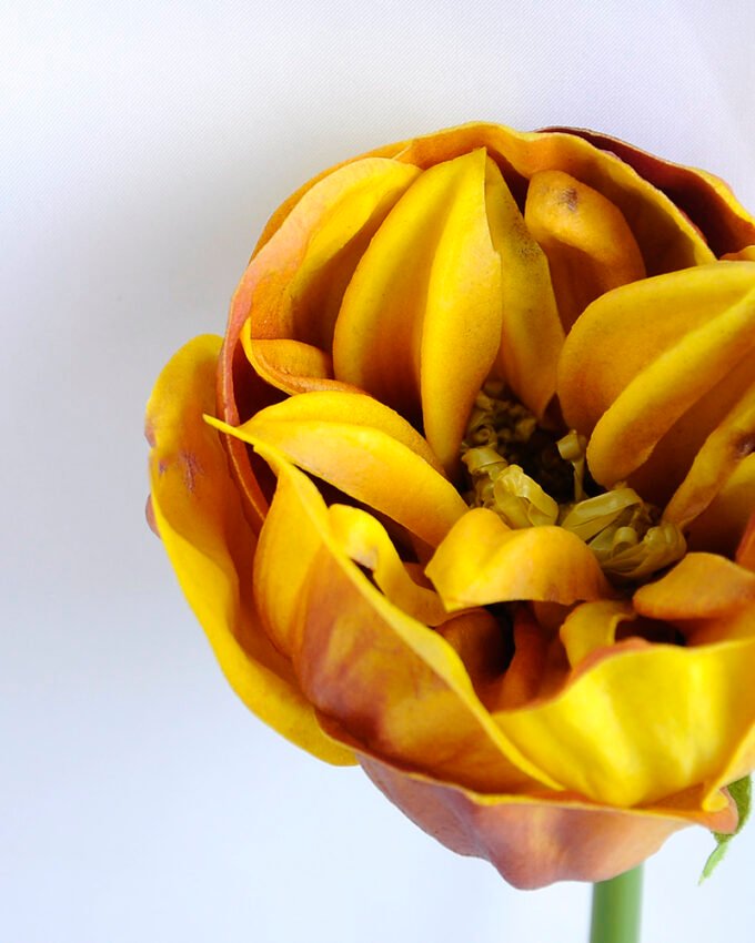 Artificial Flower 8*8*30CM Single Peony GS-42819001-Y1