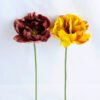 Artificial Flower 15*15*33CM Single Peony GS-42819003-Y1