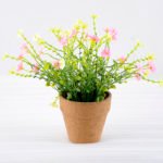 Artificial Flower 21*21*22cm Wild flower in paper pot GS-03318045RBC-G1