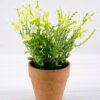 Artificial Flower 21*21*22cm Wild flower in paper pot GS-03318045RBC-W1