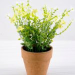 Artificial Flower 21*21*22cm Wild flower in paper pot GS-03318045RBC-W1