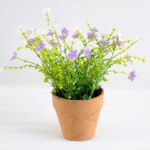 Artificial Flower 21*21*22cm Wild flower in paper pot GS-03318045RBC-Z1