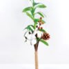 Artificial Flower 17*15*45 olive spray + Cotton bush GS-33518018