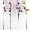 Artificial Flower 111*8*78cm pine cone + Cotton bush*4 GS-33518013-P1