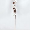 Artificial Flower 111*8*78cm pine cone + Cotton bush*4 GS-33518013-W1