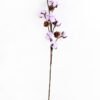 Artificial Flower 111*8*78cm pine cone + Cotton bush*4 GS-33518013-Z1