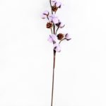 Artificial Flower 111*8*78cm pine cone + Cotton bush*4 GS-33518013-Z1