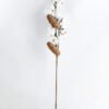 Artificial Flower 13*8*75cm pine cone + Cotton bush*4 GS-33518014-W1