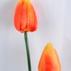 Artificial Flower 30*24*47cm tulip spray*3 GS-37219004-O1